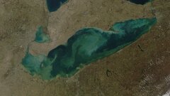 Вода в североамериканском озере превращается в «токсичный суп»