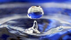 В России создали «живые биофильтры» для очистки водоемов от токсинов
