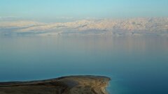 У архей Мертвого моря вырос хвост для плавания в соленой воде