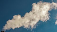 Чем отличаются белый и черный смог: ответ российских ученых