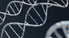 Ученые создали сверхточную технологию для иммуноанализа