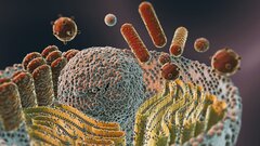 Ученые научили клетки человека считать, превратив их в крошечные компьютеры