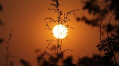Ученые раскрыли подробности о сильном всплеске активности на Солнце