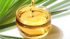 Индонезия переходит на дизель из пальмового масла
