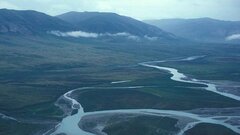 В Якутии найдены древние бактерии с ниобием: удастся ли их оживить