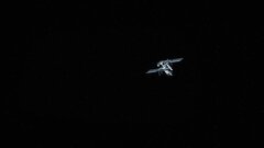 Влияют ли полеты в космос на силу сердечной мышцы: вывод ученых