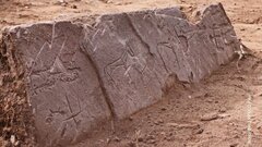 В Сибири нашли уникальные рисунки лошадей возрастом 2500 лет