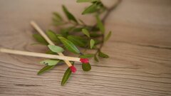 Детская задача со спичками, которая загоняет в тупик взрослых
