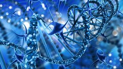 В мозге якутских сусликов обнаружены регуляторы сердечного ритма