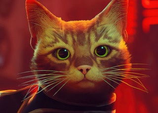 Кот в портативе: Графику Stray сравнили на Nintendo Switch и PlayStation 5