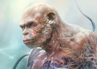 Инсайдер: Beyond Good & Evil 2 не пострадала от чисток в Ubisoft — в создание игры вложили уже $500 миллионов