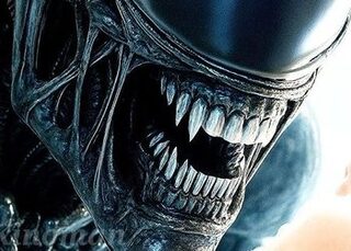 Ксеноморфы против колониальных морпехов: Анонсирована Aliens: Fireteam Elite 2