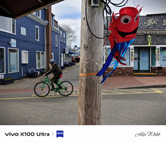  Так снимает суперфлагман Vivo X100 Ultra: примеры фото с оптическим зумом
