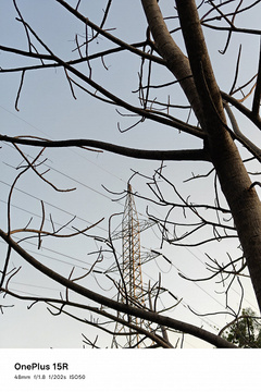 7400 мАч, 80 Вт, Snapdragon 8 Gen 5, IP69 и та же основная камера, что у OnePlus 15. Опубликованы фото, сделанные камерой OnePlus 15R