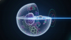 Биологи получат более точные «снимки» клеток: точное «вырезание» упростит 3D-съёмку на наноуровне