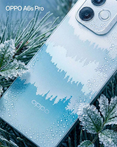 7000 мАч, 80 Вт и лес на задней панели. Oppo представила смартфон A6s Pro без 5G