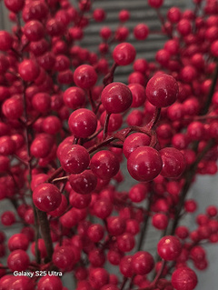 Samsung Galaxy S26 Ultra сравнили с фотофлагманом Vivo X300 Pro