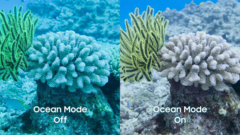 В Galaxy S26 Ultra появился новый «океанский режим», ранее он был доступен только для ученых