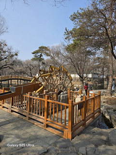 Ярче — не всегда хорошо? Появилось сравнение камер Samsung Galaxy S26 Ultra и Samsung Galaxy S25 Ultra