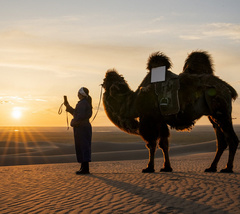 Высокоскоростной спутниковый интернет с низкой задержкой на всей территории страны: Starlink вышел на рынок Объединенных Арабских Эмиратов