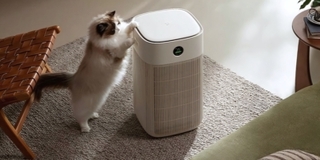 Xiaomi выпустила Mijia Pet Air Purifier — очиститель воздуха, устраняющий запахи питомцев