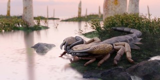 Учёные нашли останки метрового скорпиона — одного из первых хищников на&nbsp;Земле