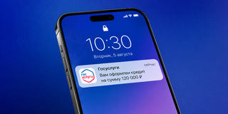 В «Госуслуги» будут приходить уведомления о&nbsp;кредитах, взятых на ваше&nbsp;имя