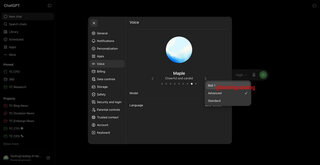 Компания OpenAI начала тестирование голосовой модели Bidi 1 в ChatGPT