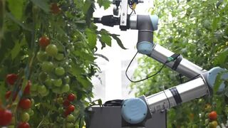 Китайские разработчики показали робота для опыления сельскохозяйственных культур