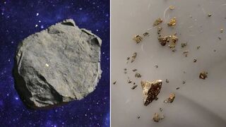 Учёные обнаружили в метеорите возрастом 5,5 млрд лет тысячи молекул из ранней Солнечной системы