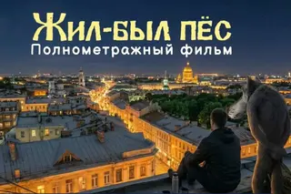 "Ты заходи, если что": советский мультфильм "Жил-был пёс" получит киноремейк