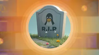Результаты опроса Steam за май 2026 года: доля Windows 11 растет, а популярность Linux снизилась