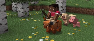 Minecraft тестирует новых свиней, падающую листву и полевые цветы