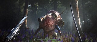 Стартовала открытая бета Valor Mortis на PC