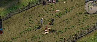 Диалоговое дерево одного NPC в Swordhaven настолько сложное, что напоминает непроходимый лес