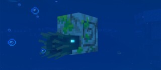 Геймер обнаружил в Minecraft способ получать воду в Незере благодаря Наутилусу-зомби