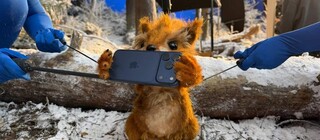 Apple сняла рождественский ролик с куклами после провала ИИ-рекламы от Coca‑Cola