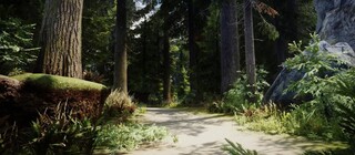 Тодд Говард намекнул на место действия The Elder Scrolls 6 – деревьев там будет больше, чем в Скайриме