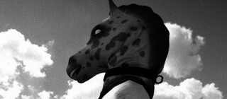 Издатель арт-игры Horses раскритиковал Epic Games Store за двойные стандарты