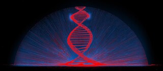 Джеффри Эпштейн переписывался с ведущими учёными о "генетическом улучшении" человечества