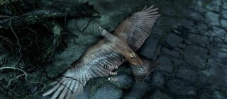 Один драконорожденный в Skyrim случайно довёл ястребов до вымирания и теперь не может их вернуть