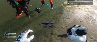 Игроки Marathon пытаются разгадать тайну разноцветного лобстера