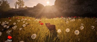 Милейший поросёнок Борис отправляется на поиски семьи – у уютной Adorable Adventures появилась дата выхода