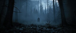 Новый трейлер хоррора Lucid Falls выглядит как смесь Alan Wake и Blair Witch