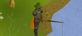 Игрок в RuneScape потратил больше двух лет на прокачку навыка Рыбалки самым медленным способом