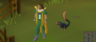 Игрок Old School RuneScape потратил 6572 часа на мировой рекорд по сбору всех питомцев