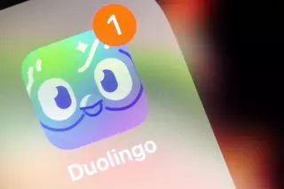 От блокировки TikTok выиграло обучающее приложение Duolingo 