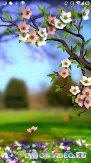 Spring Flowers 3D Parallax Pro