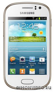 Samsung Galaxy Fame S6810