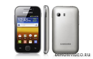 Samsung GT-S5360 Galaxy Young